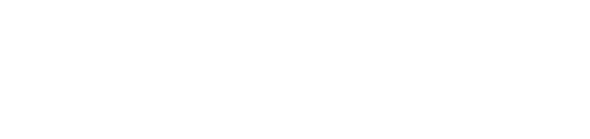 SaferWatch Logo
